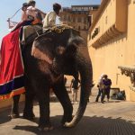 Best Digital Marketing Agency